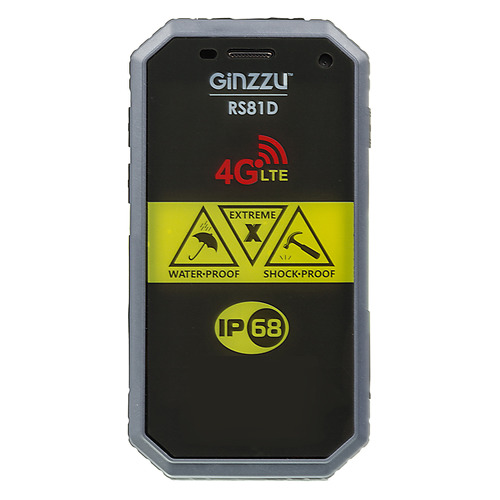 Смартфон GINZZU RS81D черный