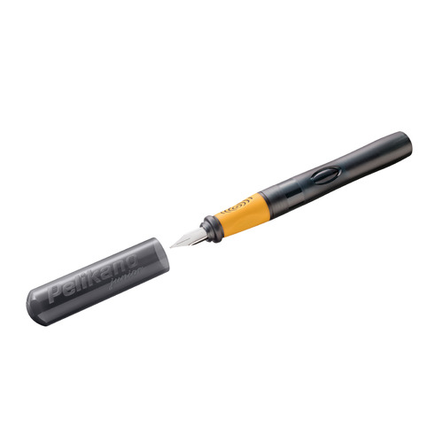 Ручка перьев. Pelikan School Pelikano Junior (PL809115) антрацитовый L сталь нержавеющая для левшей, Pelikano Junior
Ручка перьев. Pelikan School Pelikano Junior (PL809115) антрацитовый L сталь нержавеющая для левшей, Pelikano Junior