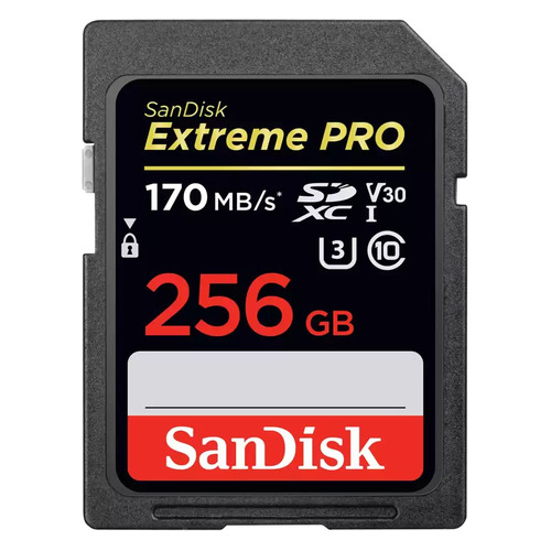 Карта памяти SDXC UHS-I U3 Sandisk Extreme Pro 256 ГБ, 170 МБ/с, Class 10, SDSDXXY-256G-GN4IN, 1 шт., SDSDXXY-256G-GN4IN
Карта памяти SDXC UHS-I U3 Sandisk Extreme Pro 256 ГБ, 170 МБ/с, Class 10, SDSDXXY-256G-GN4IN, 1 шт., SDSDXXY-256G-GN4IN
