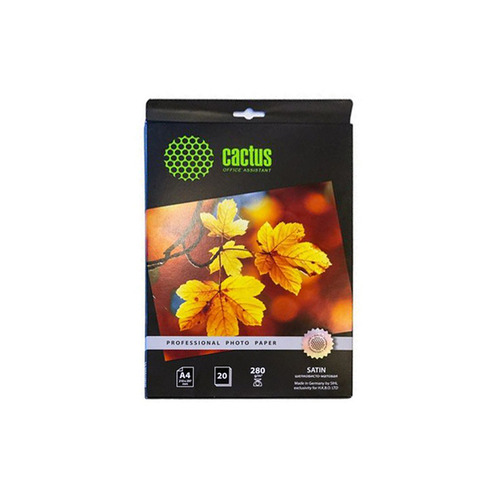 Фотобумага Cactus Prof CS-SMA428020 A4/280г/м2/20л./белый шелковисто-матовое сатин для струйной печа
Фотобумага Cactus Prof CS-SMA428020 A4/280г/м2/20л./белый шелковисто-матовое сатин для струйной печа