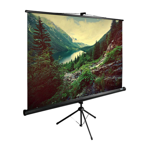 

Экран Cactus TriExpert CS-PSTE-220x220-BK, 220х220 см, 1:1, напольный черный, CS-PSTE-220x220-BK