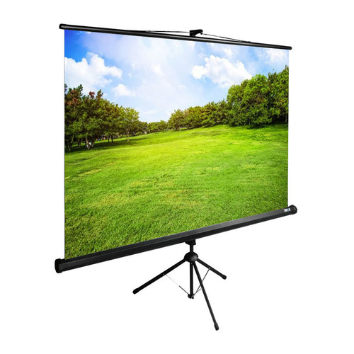 Экран CACTUS TriExpert CS-PSTE-200x150-BK, 200х150 см, 4:3, напольный черный
