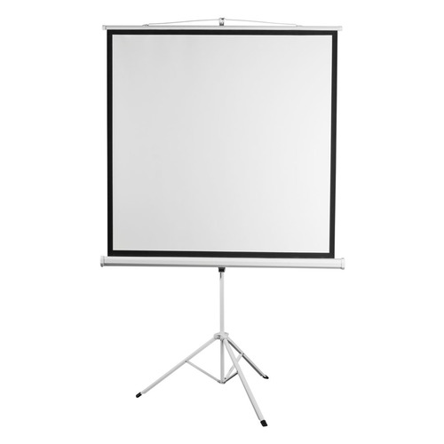 Экран Digis Kontur-D DSKD-4304, 240х180 см, 4:3, напольный