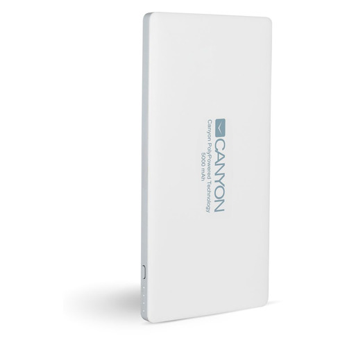 Внешний аккумулятор (Power Bank) CANYON KZH2CNSTPBP10DG, 10000мAч, темно-серый [cns-tpbp10dg] CANYON