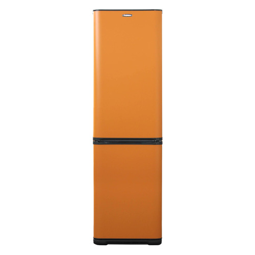 фото Холодильник бирюса б-t649, двухкамерный, оранжевый
