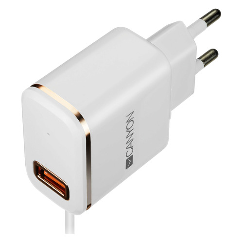 фото Сетевое зарядное устройство canyon cne-cha043wr, usb, 8-pin lightning (apple), 2.1a, белый/золотистый