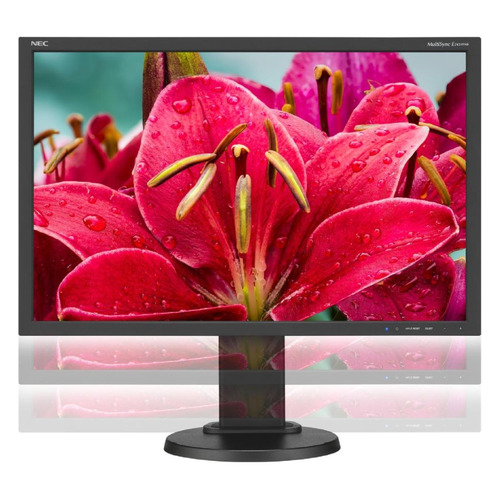 фото Монитор nec e245wmi-bk 24", черный