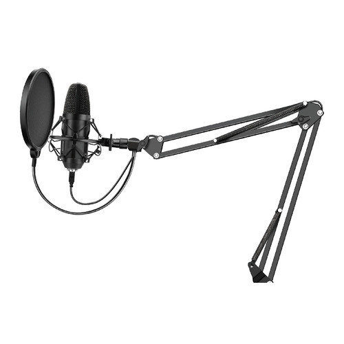 

Микрофон SUNWIND SW-SM400G, черный [1427268], SW-SM400G