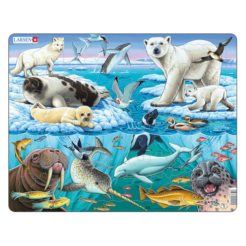 

Пазл LARSEN Арктика [fh11], Голубой, Арктика