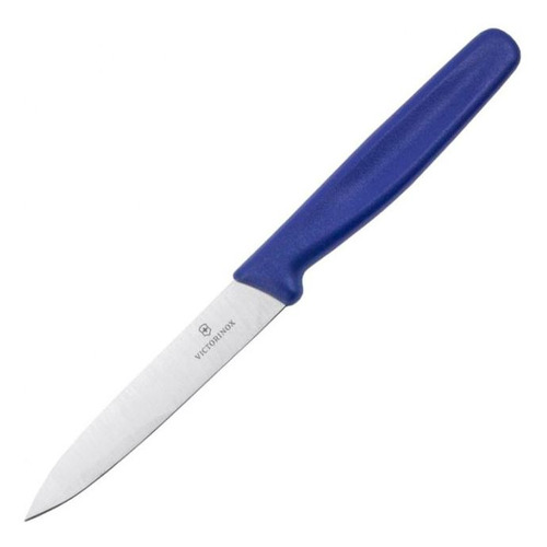 

Нож кухонный Victorinox Standart, для чистки овощей и фруктов, 100мм, заточка прямая, стальной, синий [5.0702], Standart