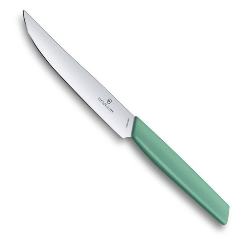 

Нож кухонный Victorinox Swiss Modern, столовый, для стейка, 120мм, заточка прямая, стальной, мятный [6.9006.1241], Swiss Modern