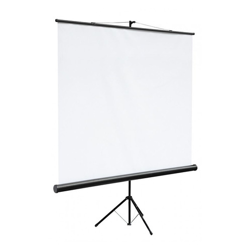 

Экран Digis DSKC-1106, 120х120 см, 1:1, напольный черный, Digis DSKC-1106