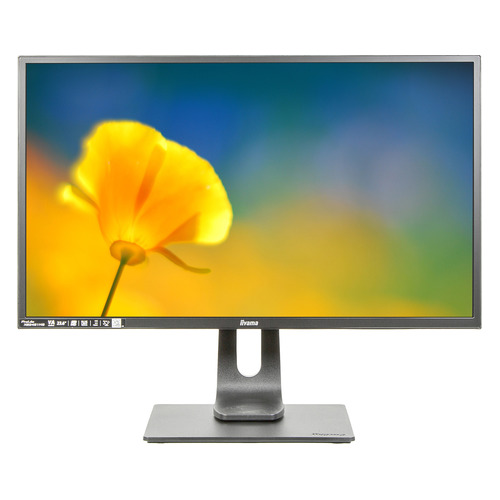 фото Монитор iiyama prolite xb2481hs-b1 23.6", черный