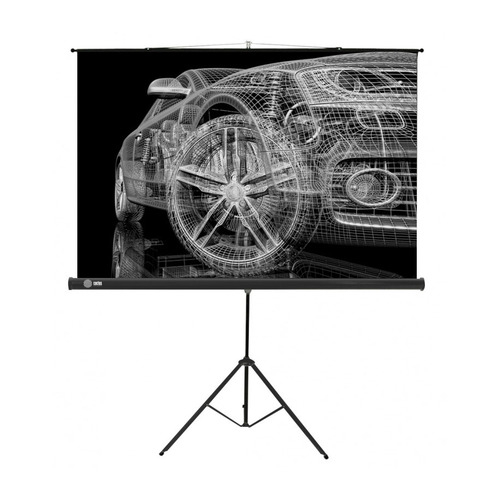 Экран CACTUS Triscreen CS-PST-124x221, 221х124.5 см, 16:9, напольный черный