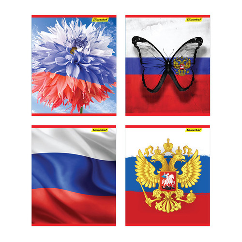 

Тетрадь Silwerhof 811510-55 48л. лин. A5 Триколор 4диз. картон вод.лак скрепка 10 шт./кор.