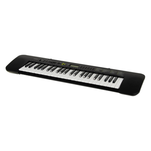 

Синтезатор Casio CTK-240, черный, CTK-240