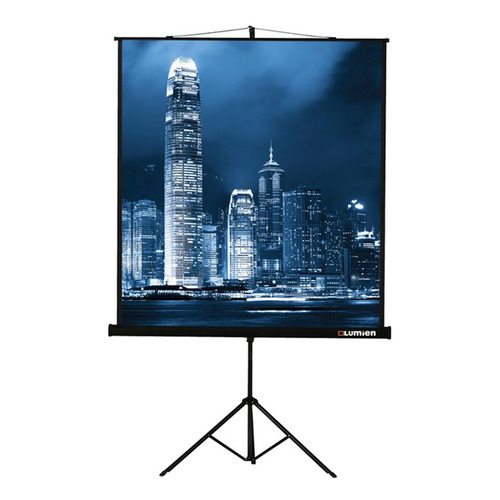 Экран LUMIEN Master View LMV-100108, 244х183 см, 4:3, напольный