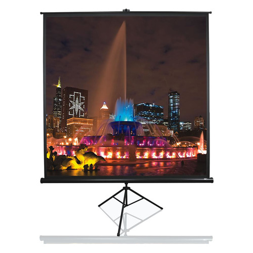 

Экран ELITE SCREENS Tripod T113UWS1, 203х203 см, 1:1, напольный черный, T113UWS1