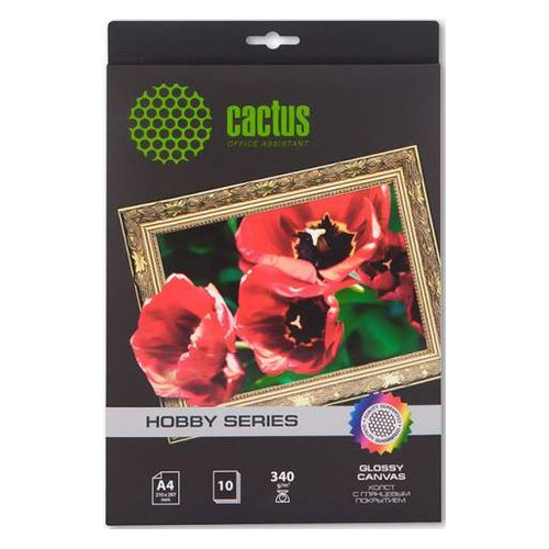 

Холст Cactus CS-СGA426010 A4/340г/м2/10л. глянцевое хлопок для струйной печати, Нет, CS-СGA426010