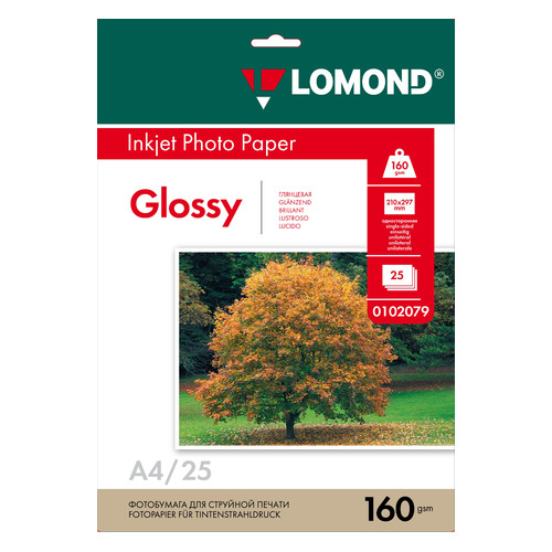 

Фотобумага Lomond 0102079 A4/160г/м2/25л./белый глянцевое для струйной печати